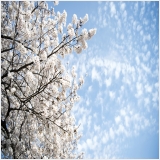 대전유품정리 PC 갤러리 1